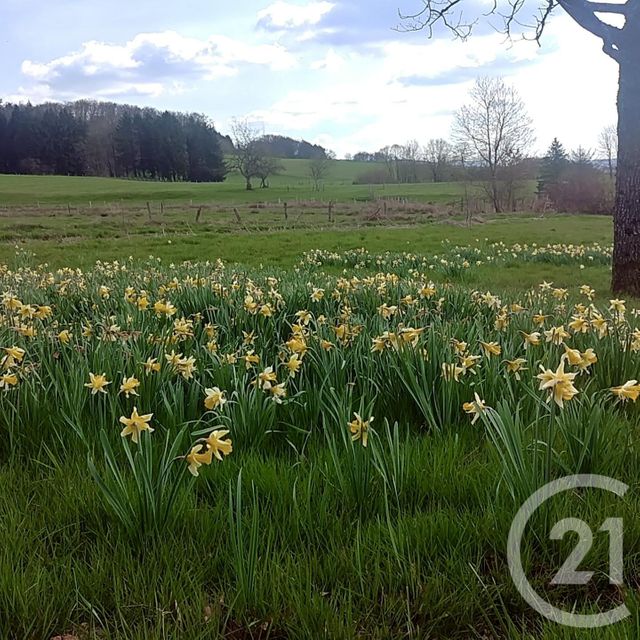 maison à vendre - 6 pièces - 200.0 m2 - CHARMOIS DEVANT BRUYERES - 88 - LORRAINE - Century 21 Guyon Immobilier