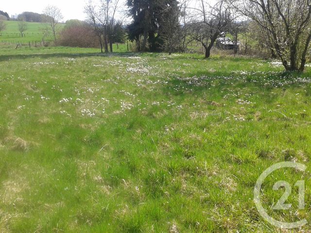 maison à vendre - 6 pièces - 200.0 m2 - CHARMOIS DEVANT BRUYERES - 88 - LORRAINE - Century 21 Guyon Immobilier