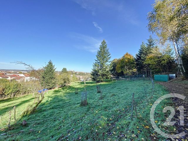 terrain à vendre - 3030.0 m2 - CHANTRAINE - 88 - LORRAINE - Century 21 Guyon Immobilier