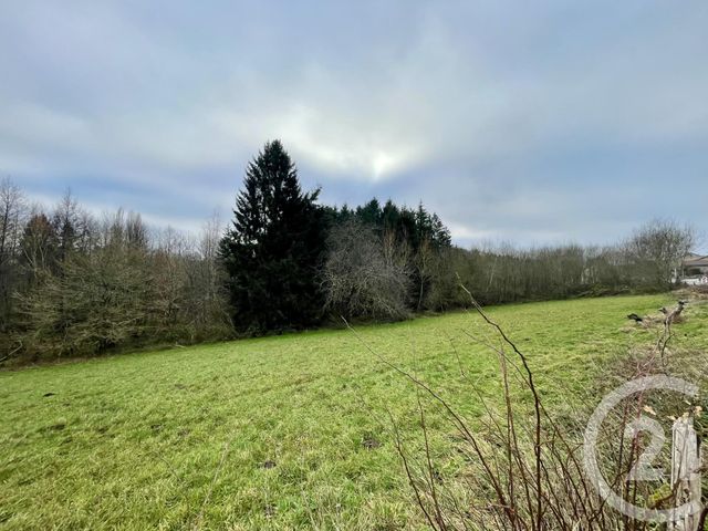 terrain à vendre - 4590.0 m2 - HADOL - 88 - LORRAINE - Century 21 Guyon Immobilier