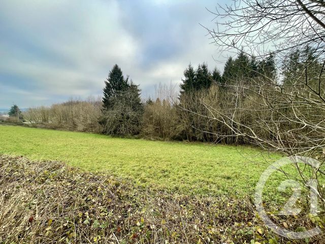 terrain à vendre - 4590.0 m2 - HADOL - 88 - LORRAINE - Century 21 Guyon Immobilier